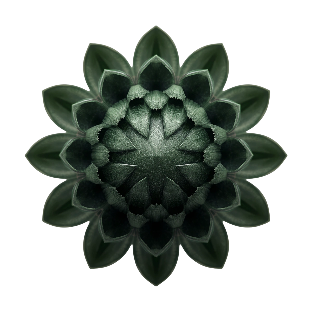 The Mossbound protea emblem